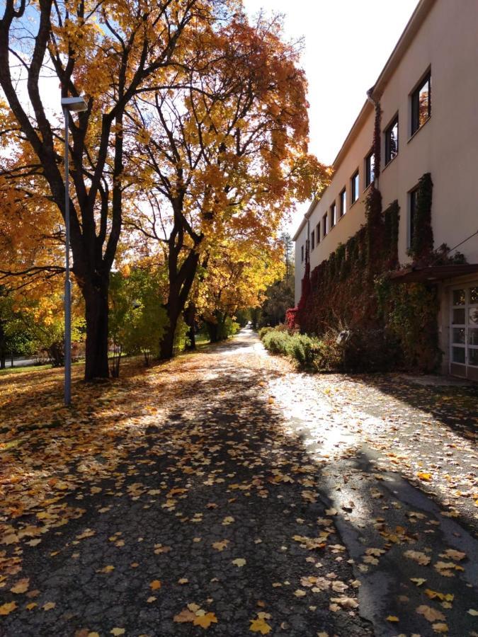 Hostel Bjorkenheim Seinäjoki エクステリア 写真