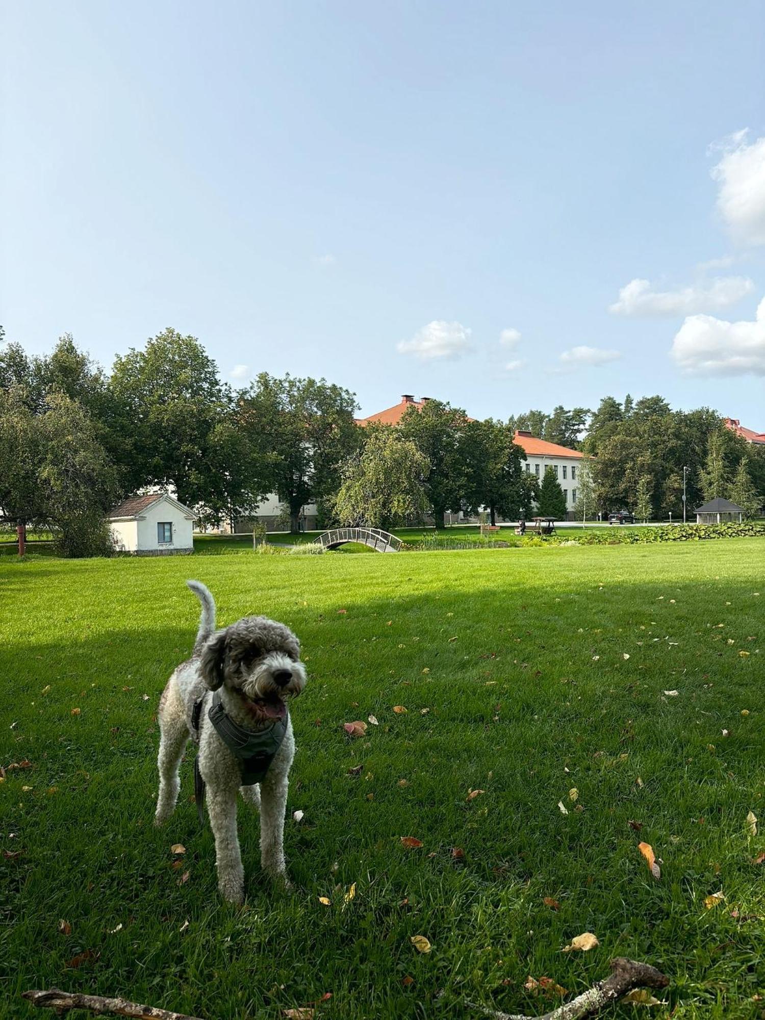 Hostel Bjorkenheim Seinäjoki エクステリア 写真